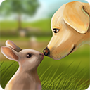 PetWorld-Myanimalshelter