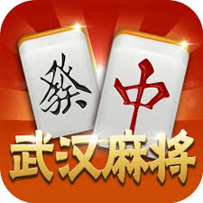 武汉赖子