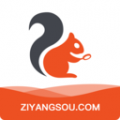 資陽全搜索軟件