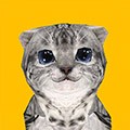 動物萌星球