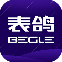 表鴿物聯卡