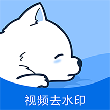 視頻去水印專(zhuān)家app