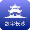 數(shù)字長沙軟件