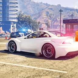 警車(chē)模擬駕駛