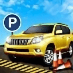 經(jīng)典停車達(dá)人