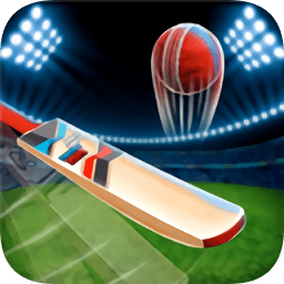 瘋狂板球比賽