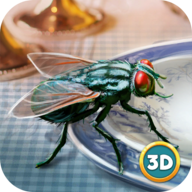 蒼蠅模擬器3D