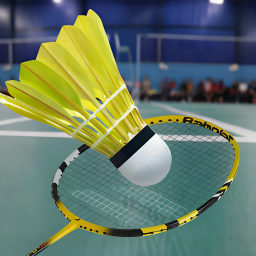 超級羽毛球大師