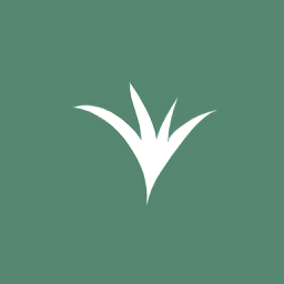 青禾去水印1.0.0.4