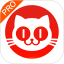 貓眼票房專業(yè)版app