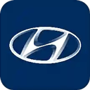 北京現(xiàn)代藍繽會員app