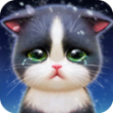 小貓愛消除最新版