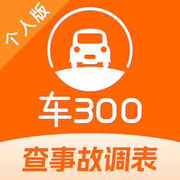 車300二手車評估app