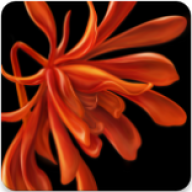 醉美南紅手機版