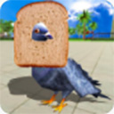 鴿子模擬器