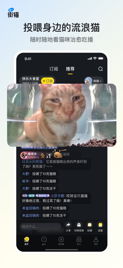 哈啰街猫流浪猫救助游戏 v1.0.1安卓版1