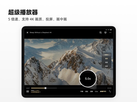 夸克瀏覽器定制版 V 5.8.2.221安卓版 0