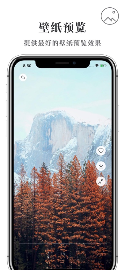 壁纸坊安卓版 v1.40