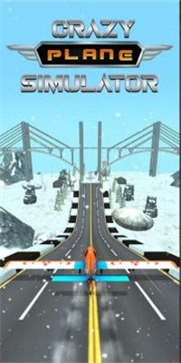 瘋狂的飛機 v1.0 0