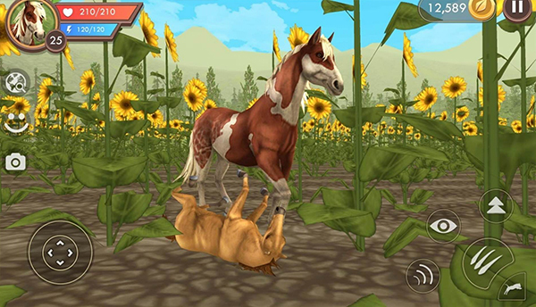 3D動物模擬器 v36.1 1