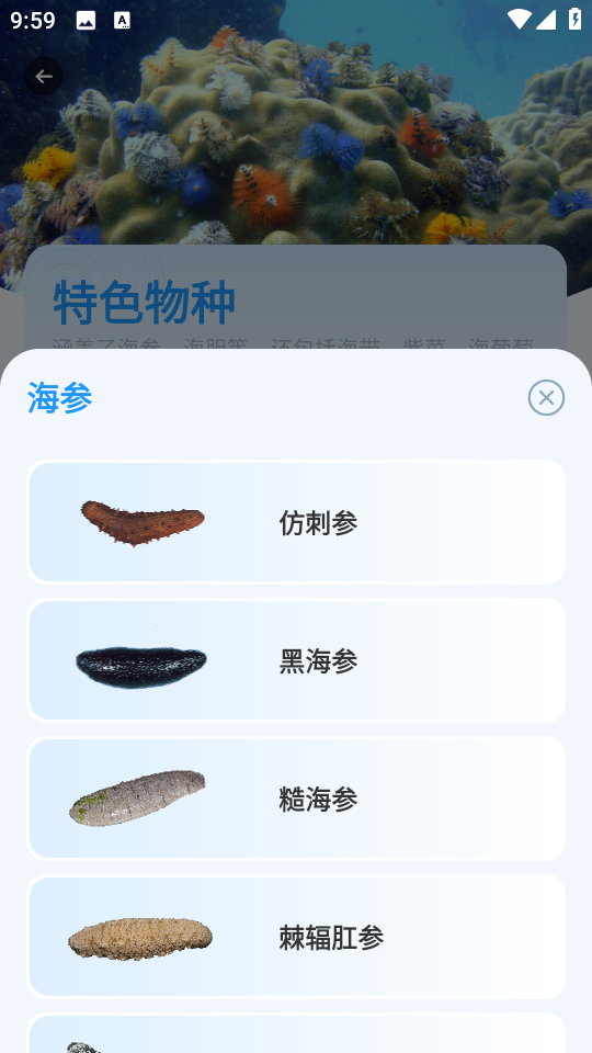 問魚手機(jī)版 v2.0.2 安卓版 0