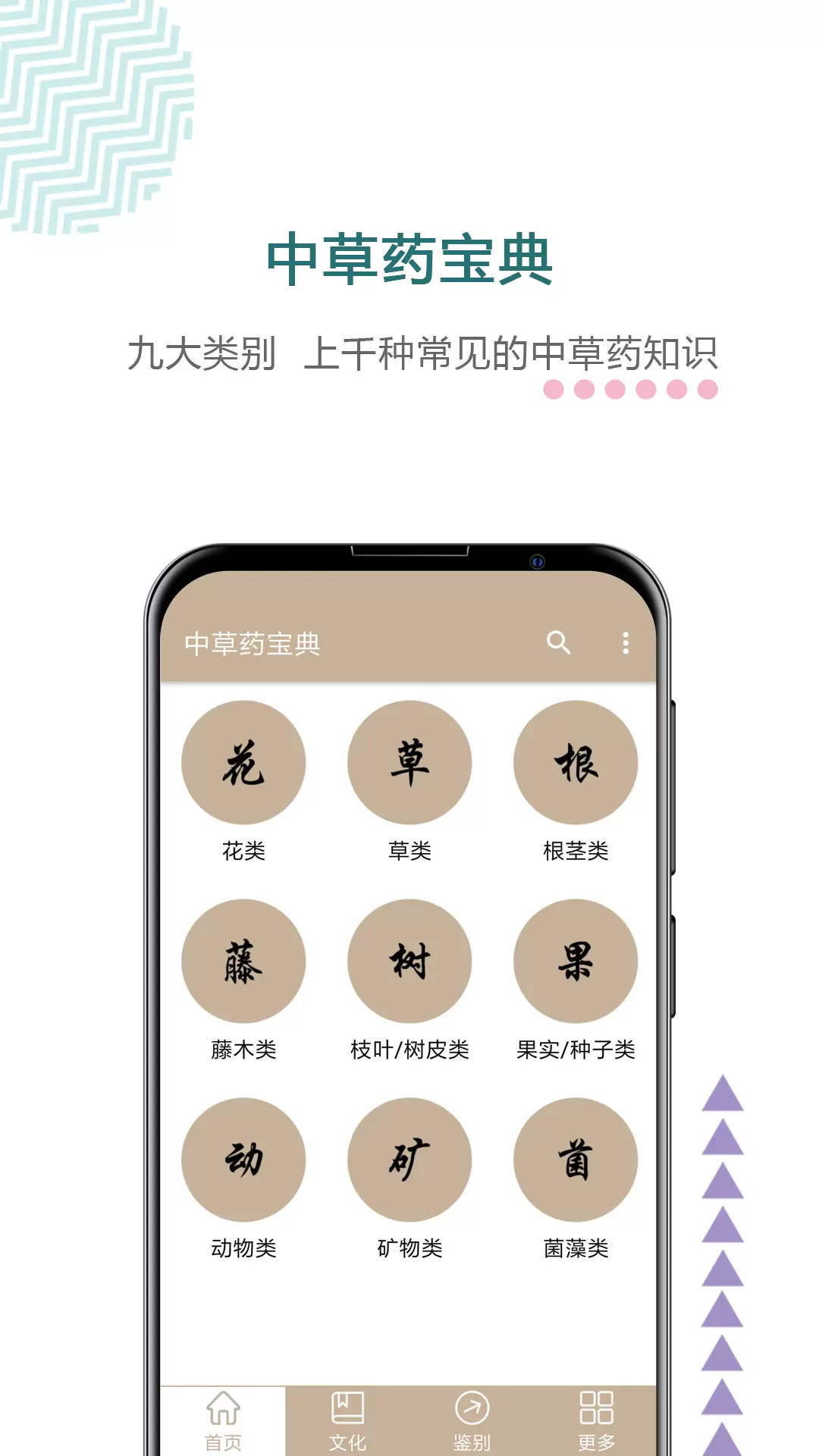 中草藥寶典app v2.6 安卓版 1
