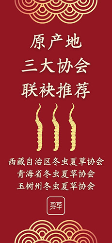 尋草app v2.2.5 安卓版 0