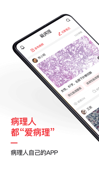 愛病理軟件 v3.6.12 安卓版 1