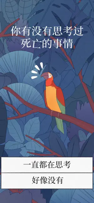 Bird Alone v3.8 2
