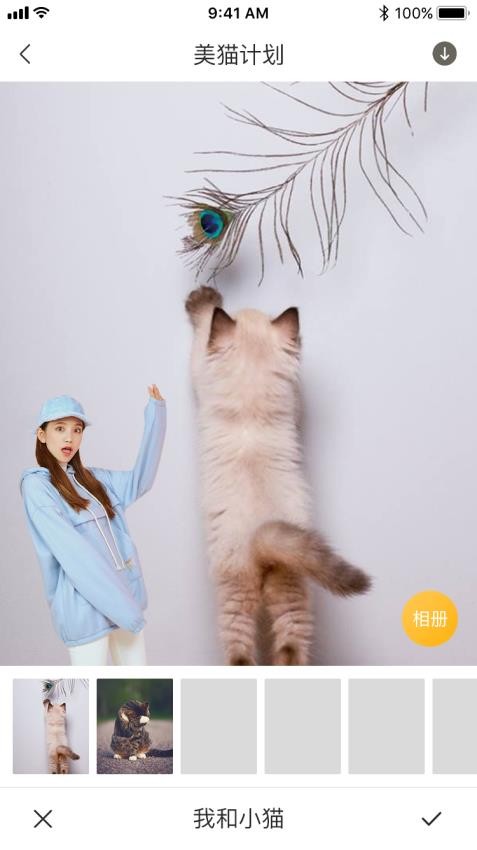 云養貓app v1.2.1 1