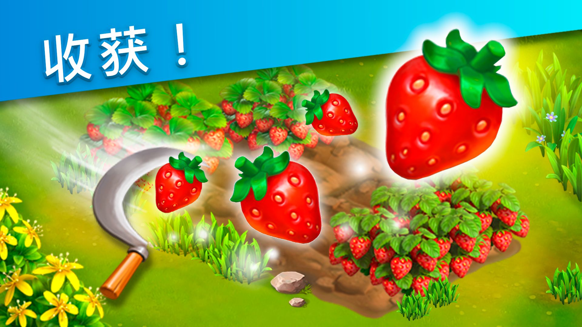 Funky Bay v45.64.1 0