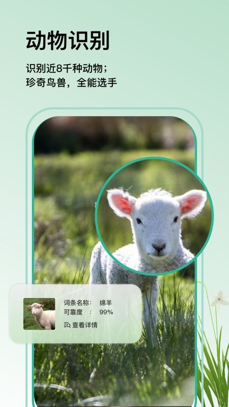萬物識圖app v1.1.7安卓版 1