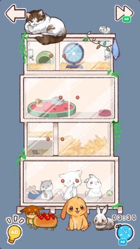 小屋收納物語 v1.0.0 1