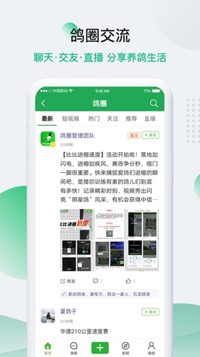 中國(guó)信鴿信息網(wǎng)app v20250610 安卓版 0