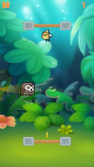 叢林歷險 v1.0 0