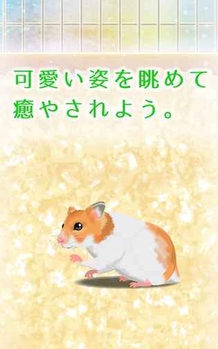 治愈倉鼠養(yǎng)成 v2.1 0