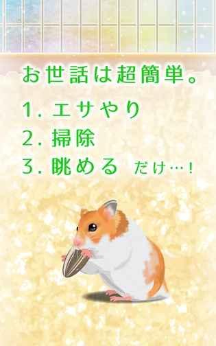 治愈倉鼠養(yǎng)成 v2.1 1