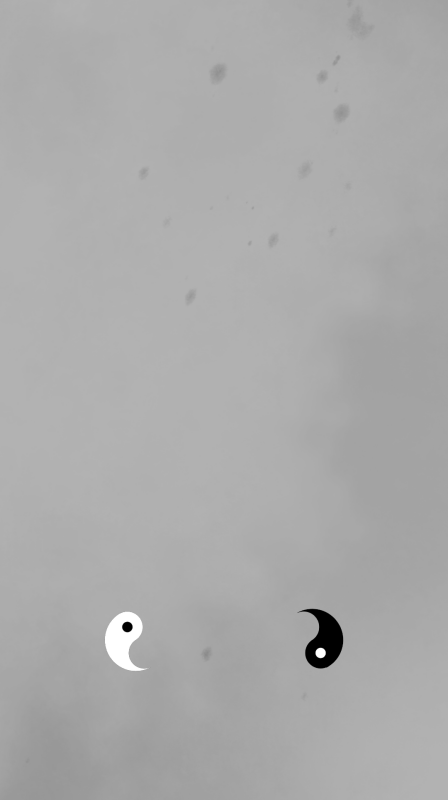 太極陰陽(yáng) v1.0.1 1