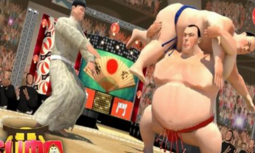 相撲摔跤 v1.13 1