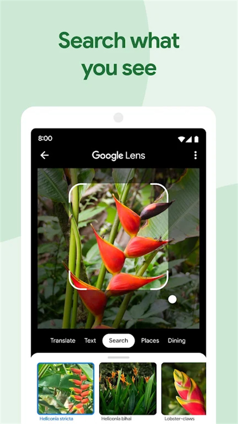 google相冊(google photos) v7.48.0.813334473 安卓最新版 2