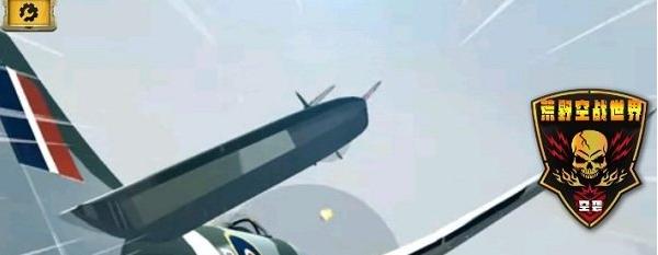 荒野空戰(zhàn)世界 v1.3 0