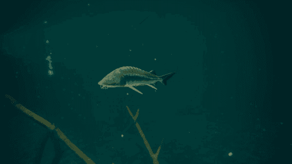 終極釣魚模擬器2 v2.34 0