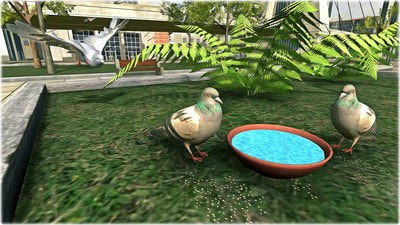 鴿子生存模擬 v1.0.0 2