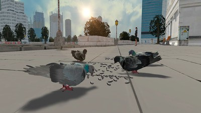 鴿子生存模擬 v1.0.0 1