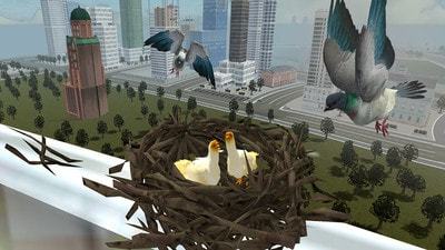 鴿子生存模擬 v1.0.0 0