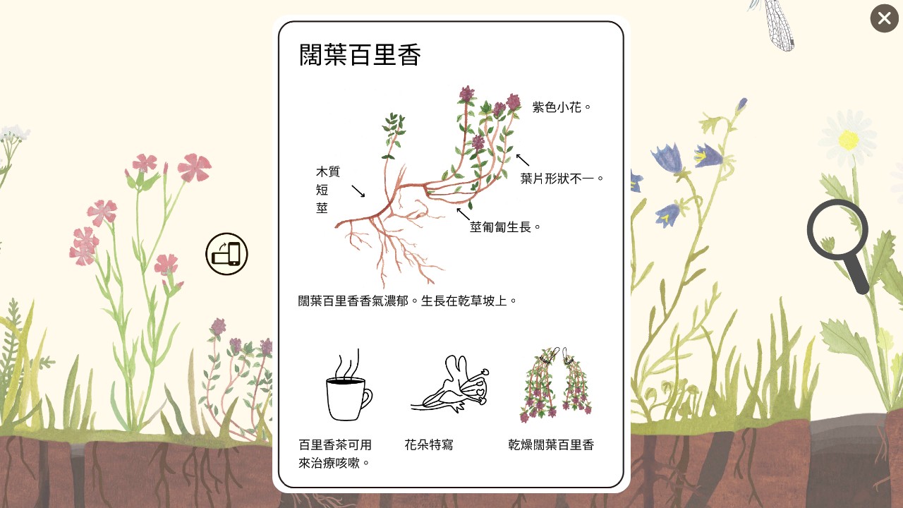 小棕鼠的自然生態(tài)百科 v1.0.6 1