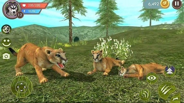 野生獵豹模擬器 v1.2 2