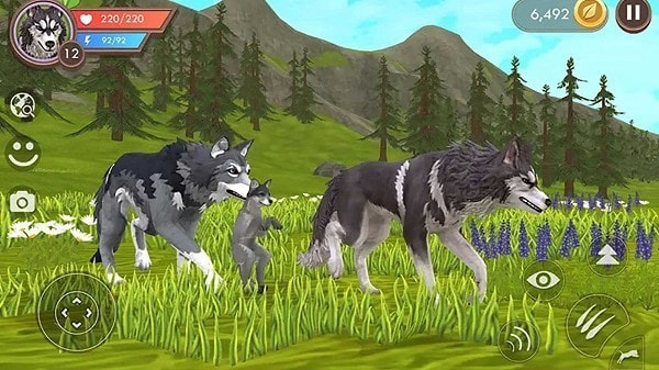 野生獵豹模擬器 v1.2 0