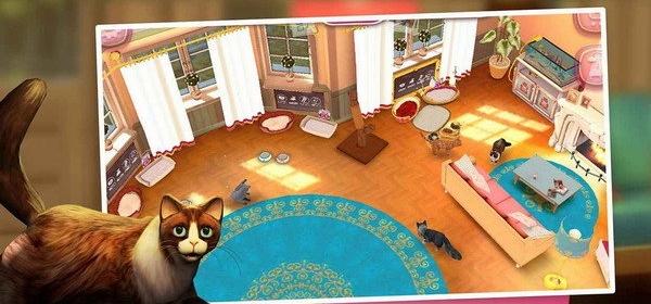 貓咪酒店 v2.0.19255 1