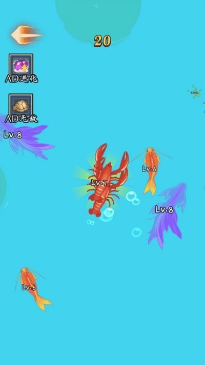 神龍大冒險 v1.0.0 2